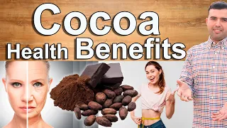 COCOA POWDER EVERY DAY - Cocoa Powder and Dark Chocolate Health Benefits and Why You Should Have It