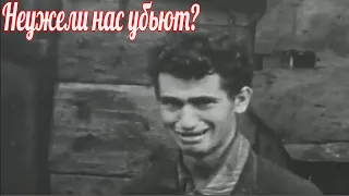 Неужели нас убьют? Что происходило в Змиевской балке в 1942 году в Ростове на Дону