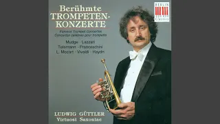 Concerto for Trumpet and Orchestra in E-Flat Major, Hob.VIIe:1: III. Allegro