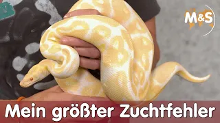 Mein größter Zuchtfehler | Diese Kombos solltest du nicht Züchten! | Reptil TV