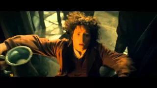 LOTR The Fellowship of the Ring - At the Sign of The Prancing Pony