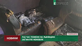 Під час пожежі на Львівщині загинуло немовля