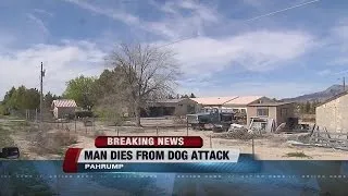 Elderly man dies from injuries after being attacked by pit bulls