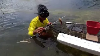 Low cost DIY Spear fishing catch and cook