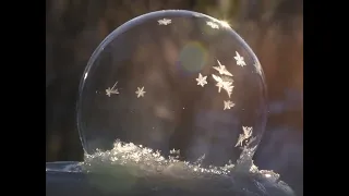 Frozen Ice Bubbles