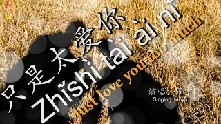 只是太爱你 - Zhǐshì tài ài nǐ - Just love you too much WITH PINYIN AND LYRICS