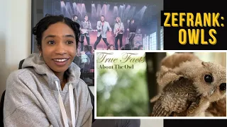 True Facts about Owls as Explained by ZeFrank (Reaction)