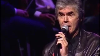 Three Dog Night - "Celebrate"