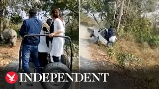 Moment rhino topples safari jeep full of tourists