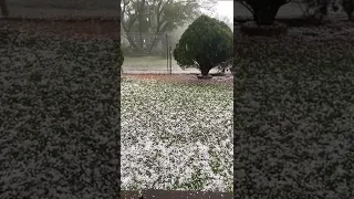 WATCH | Hail storm in Pietermaritzburg