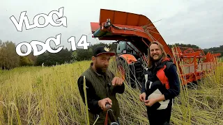 VLOG Odc. 14 Zbiory maszynowe  Hemp / Konopi siewnych Santica w Ostoi Natury/ 1H/ Kubota M7173