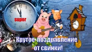 Красивое поздравление с Новым Годом и🐷 видео поздравление свинки в новый год