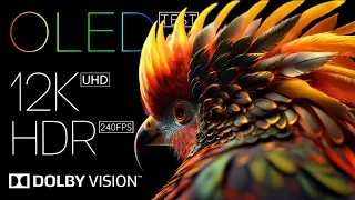 Best of OLED Test Dolby Vision - 12K HDR 240 fps