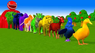Paint & Animals Duck,Cow,Gorilla,Lion,chicken,Elephant,Fountain Crossing Transformation Cartoon Game