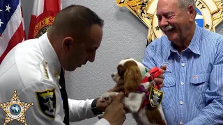 WEB EXTRA: Puppy Rescued From Gator Honored