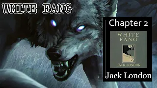 White Fang - Ch 2 |🎧 Audiobook with Scrolling Text 📖| Ion VideoBook