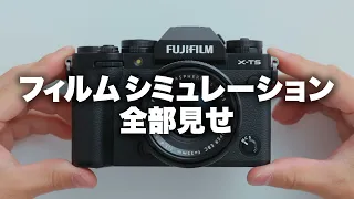 【FUJIFILM】富士フイルムのフィルムシミュレーション全見せ！（タイムライン活用、1.5倍速推奨）