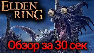 Вся суть Elden Ring за 30 секунд