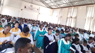 Apostolic Church Of Ethiopia | ታምራቱን በህይወቴ አይቻለሁ | Apostolic Song | Apostolic Mezmur