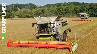 Gras dreschen mit 2x CLAAS Lexion 6800 / Die Agrarfilmer