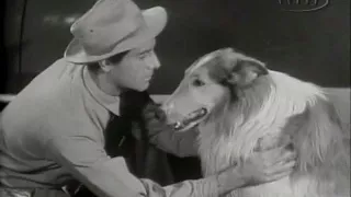 Lassie  S01e25  The Snake