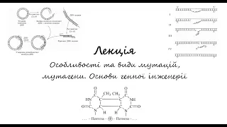 Біохімія. Лекція. Особливості та класифікація мутацій, мутагени. Генетична інженерія