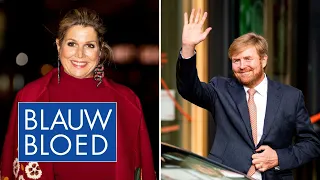 WAT EEN JAAR! 2020 in vogelvlucht | Blauw Bloed