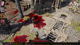 Divinity  Original Sin 2 Bug