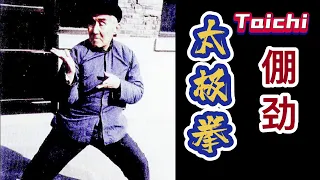 Neijiaquan：mistake of Pengjin（倗劲）（内家拳：倗劲不是支撑！洪均生大师对倗劲的理解）