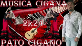 MUSICA CIGANA 2024 PATO CIGANO #musicacigana #rumbaportuguesa #españa #portugal