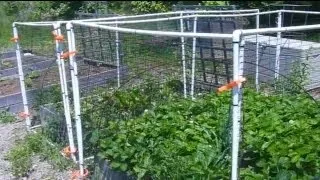 How to Fence Your Raised Bed Garden Using PVC