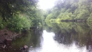 A rainy walk by the river