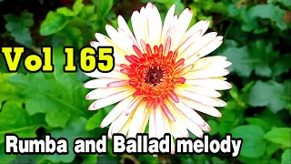 Beautiful melodies about life, people and beautiful nature, New relaxing instrumental music, vol 165