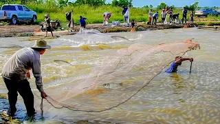 Wow!!! Real life Cast Net Fishing 7Kg In River At The Countryside (Episode 19)