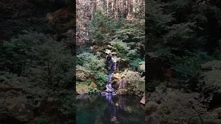 Japanese Garden Waterfall Portland, Oregon #shorts #waterfall #portland #japanese #garden