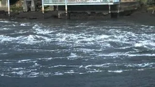 Tsunami Surge Depoe Bay Oregon Aboard C/V Morning Star 3-11-11