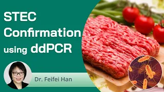 STEC Confirmation Using ddPCR [Webinar]