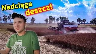 Kończymy, czy do oporu? 👉Jockerfarm sprawdzi 👉czy Komabjn Rostselmash Acros 595+  podda się w mokrym