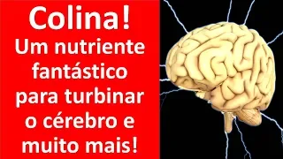 Colina! um nutriente fantástico para turbinar o cérebro e muito mais! | Dr. Marco Menelau