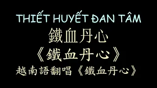 越南版翻唱 鐵血丹心 射鵰英雄傳 漢喃歌詞 喃漢對譯 |Thiết Huyết Đan Tâm - Gia Huy & Thùy Vân |Chữ Nôm Hán Nôm Lyrics越南歌曲𡨸喃喃字