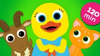 English Words - Animals collection | Stories For Kids With Tillie | Speaking & Learning by ABC Fun