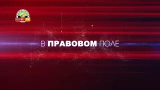 «В правовом поле»: Роль социальной адаптации в формировании личности