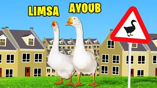 CETTE VILLE N'AIME PAS LES OIES (Untitled Goose Game Coop)