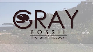 Virtual Reality meets the Gray Fossil Site