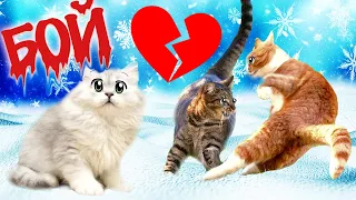 Влюблённые Коты ДЕРУТСЯ из-за Кошечки ВАСИЛИСЫ!!! Кто Станет ПОБЕДИТЕЛЕМ?!