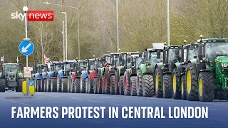 British farmers protest against food imports