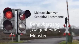 Bahnübergang "Galgenheide", Münster // RR-Crossing in Münster