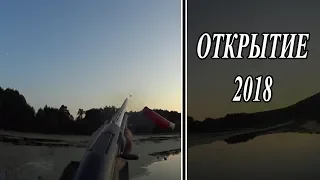 Утиная охота. открытие 2018