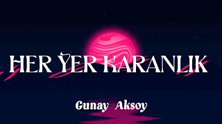 Her Yer Karanlik - Gunay Aksoy