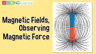 Magnetic Fields – Observing Magnetic Force